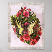Poster Vintage Butterfly (Devant)