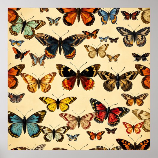 Poster Vintage Butterfly Collection Pattern (Devant)