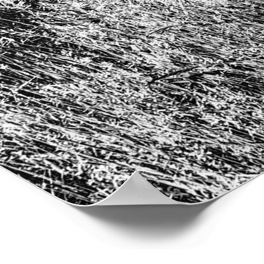 Poster Vintage Car (Coin)