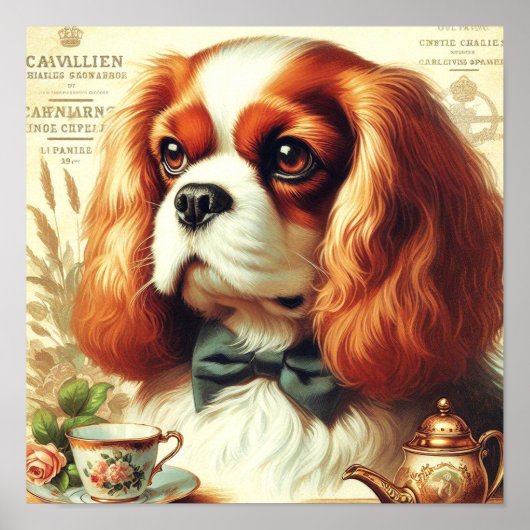 Poster Vintage Cavalier King Charles Peinture espagnole (Devant)