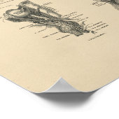 Poster Vintage Cerveau Nerves Anatomie 1880 Imprimer (Coin)