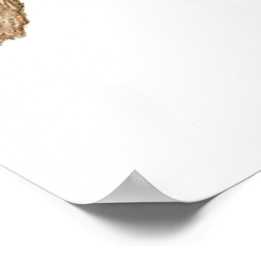 Poster Vintage Chameleon Lizard (Coin)