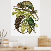 Poster Vintage Chameleon Lizard (Cuisine)