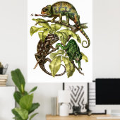 Poster Vintage Chameleon Lizard (Bureau à domicile)