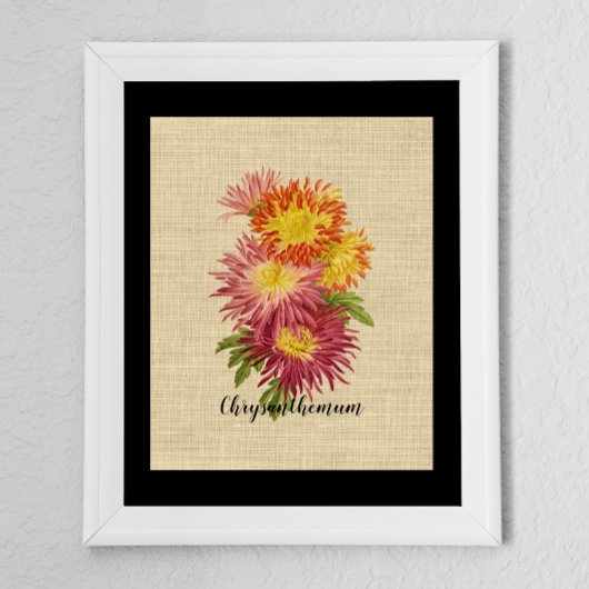 Poster Vintage Chrysanthemum Botanique