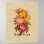 Poster Vintage Chrysanthemum Botanique (Devant)
