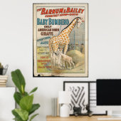 Poster Vintage : cirque Barnum & Bailey - (Bureau à domicile)