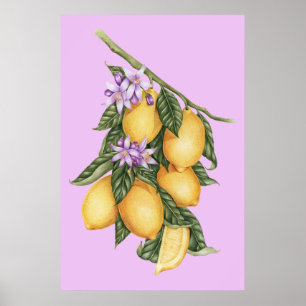Poster Vintage citrons rustiques Botanique d'été