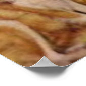 Poster Vintage Cowgirl (Coin)