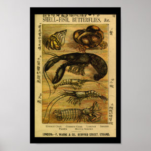 Poster Vintage Crab Lobster Natural History Print