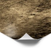 Poster Vintage Crocodile (Coin)