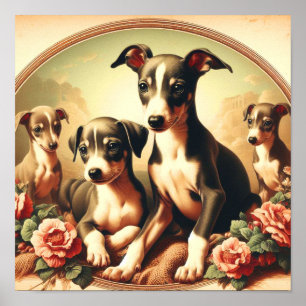 Poster Vintage Cute Italien Greyhound Peinture