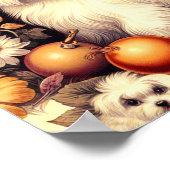 Poster Vintage Cute Maltais (Coin)