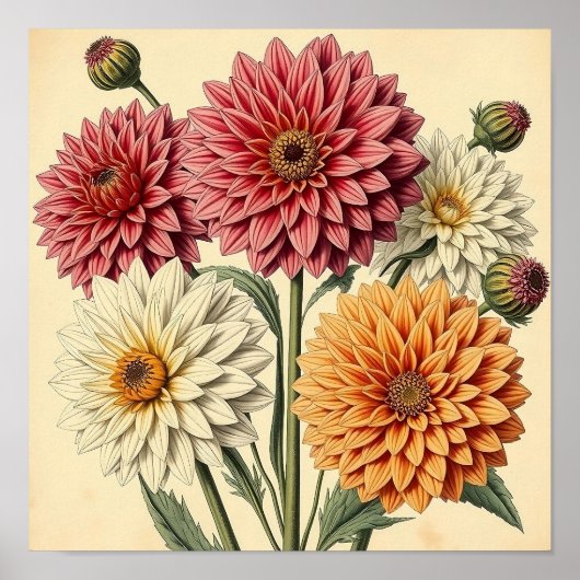 Poster Vintage Dahlias on Weathered Paper (Devant)