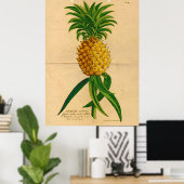 Poster vintage d'ananas tropical (Bureau à domicile)