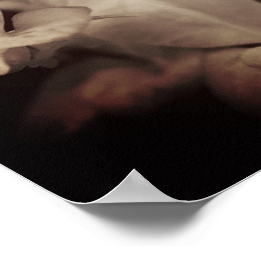 Poster vintage de fleurs blanches (Coin)