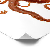 Poster vintage de poulpe (Coin)