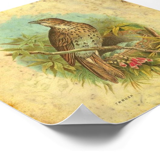 Poster Vintage de poussée (Coin)