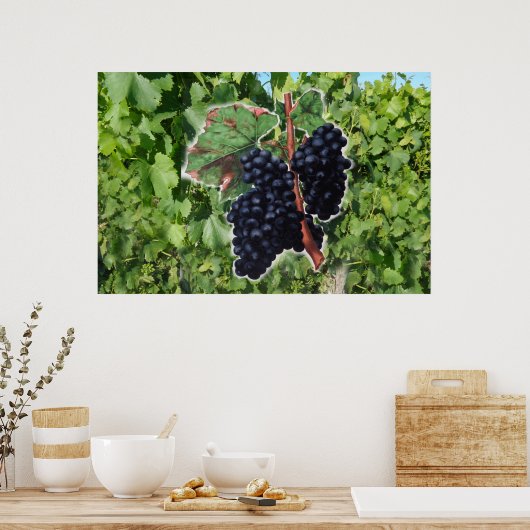 Poster vintage de raisin (Cuisine)