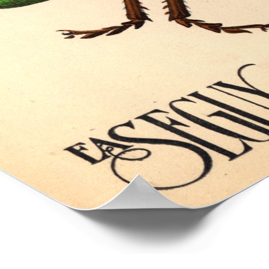 Poster vintage de Seguy Insects (Coin)