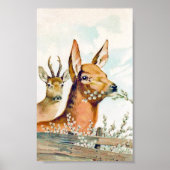 Poster vintage Deer (Devant)