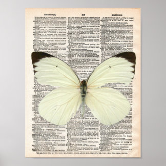 Poster Vintage dictionary page and white butterfly