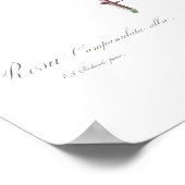 POSTER vintage D'ILLUSTRATION DE ROSE BLANCHE BOTA (Coin)