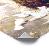 Poster vintage d'images Peacock (Coin)