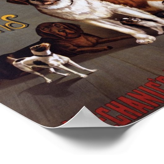 Poster Vintage dog show (Coin)