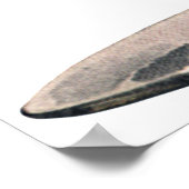 Poster Vintage Drinks Beverages, Martini Olive Cocktail (Coin)