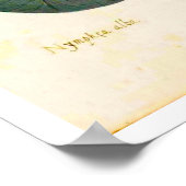 Poster vintage du Nénuphar botanique (Coin)