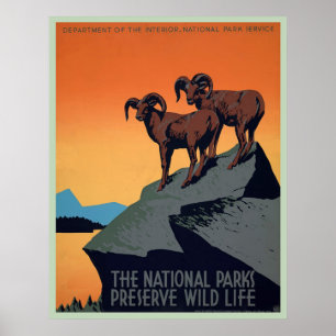 Poster vintage du parc national