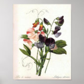 Poster vintage Floral (Devant)