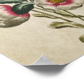 Poster Vintage floral Hellebore Imprimer (Coin)