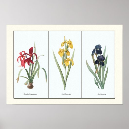 Poster Vintage Floral Triptych Art Botanique Imprimer (Devant)