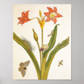 Poster Vintage Flower Plant Botanical Illustration (Devant)