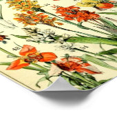 Poster Vintage Flowers Old Illustration Art (Coin)