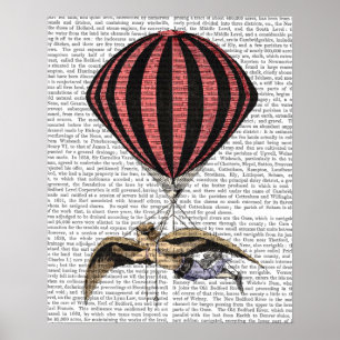 Poster Vintage Flying Machine