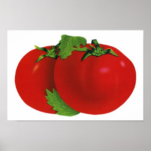 Poster Vintage Foods, Organic Red Ripe Heirloom Tomato