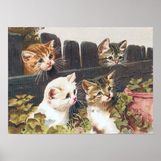 Poster vintage "Four Kittens" (Devant)