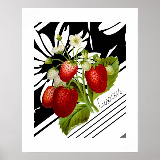 Poster Vintage fraises rouges Black White Graphisme (Devant)