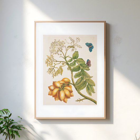 Poster Vintage Fruit Plant With Butterflies Art