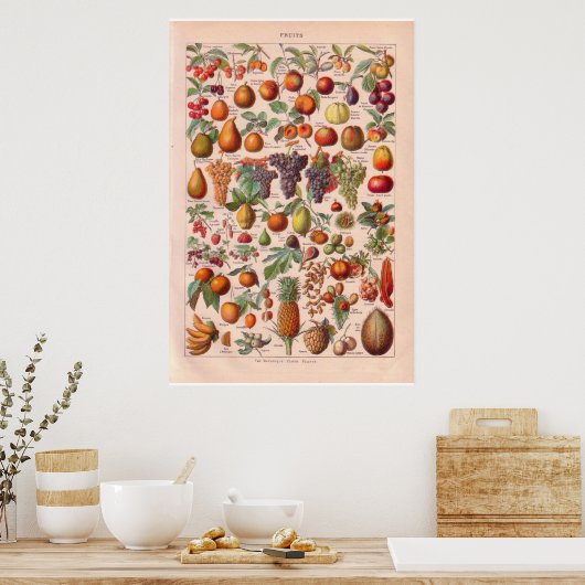 poster vintage fruits 1920 (Cuisine)