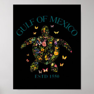 Poster Vintage Golfe Du Mexique Est 1550 Tortue Florale