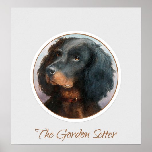 Poster Vintage Gordon Setter (Devant)