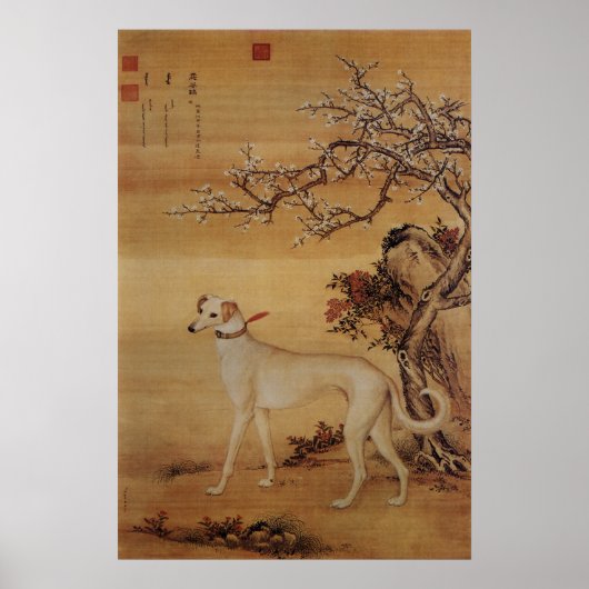 Poster Vintage Greyhound Blanc Sous les Fleurs (Devant)