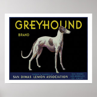 Poster Vintage Greyhound Lemon Étiquette vers 1920