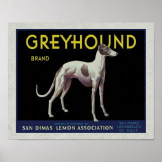 Poster Vintage Greyhound Lemon Étiquette vers 1920