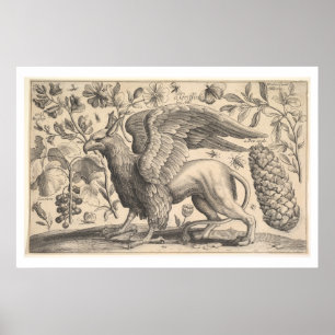 Poster Vintage Griffin grec Mythologie Botany