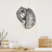 Poster Vintage Harp Seashell Antique Shells Modèle (Cuisine)